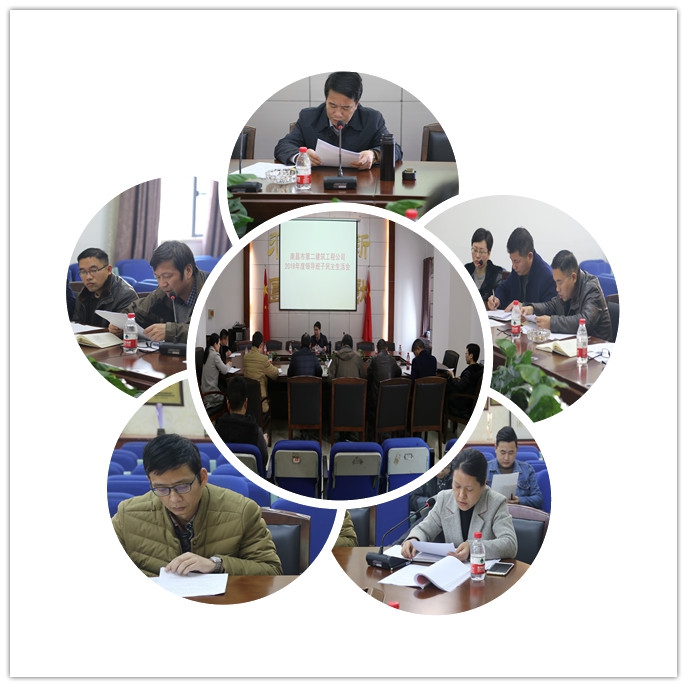 公司召開2018年度領導班子民主生活會 公司召開2018年度領導班子民主生活會